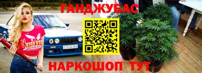 сатива Заволжье