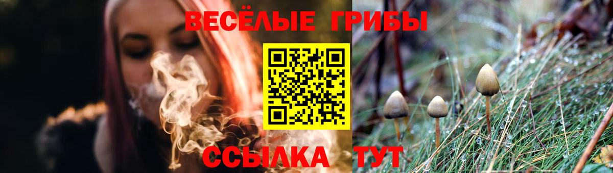 Галлюциногенные грибы Psilocybine cubensis  купить наркотик  Кондопога  Вход с VPN 